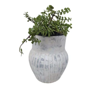 Product 7